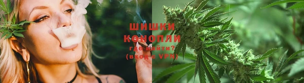 хмурый Ладушкин