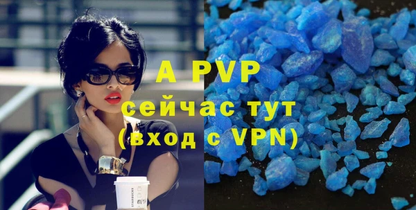 хмурый Ладушкин