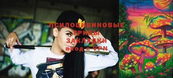 хмурый Ладушкин
