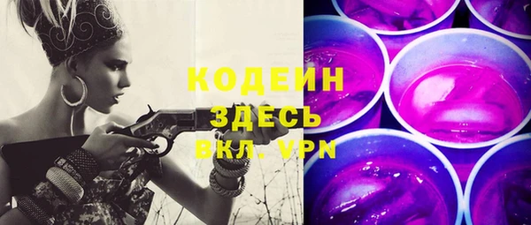 хмурый Ладушкин