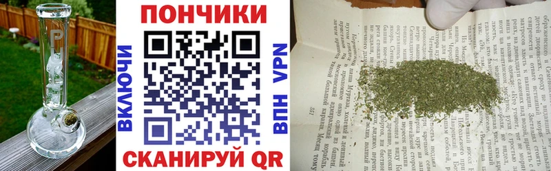 наркота  Копейск  Шишки марихуана сатива 